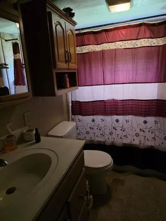 a bathroom with a sink and a toilet