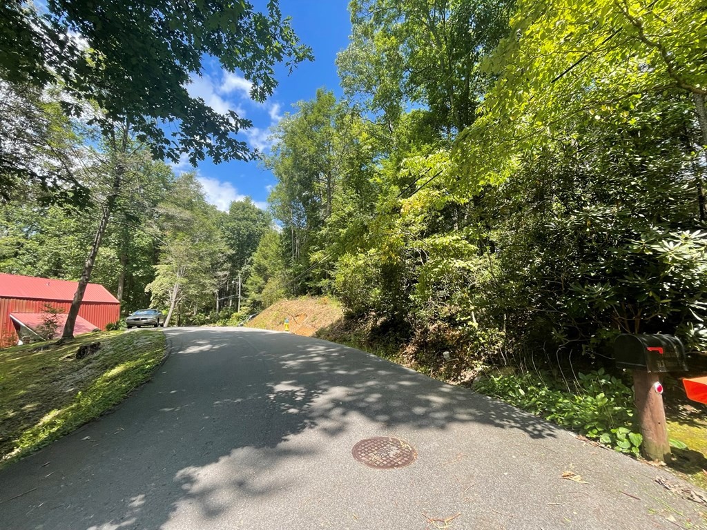 0 Bruce Road Gatlinburg, TN 37738 - Photo 11 of 11