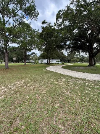 a view of a field with an trees