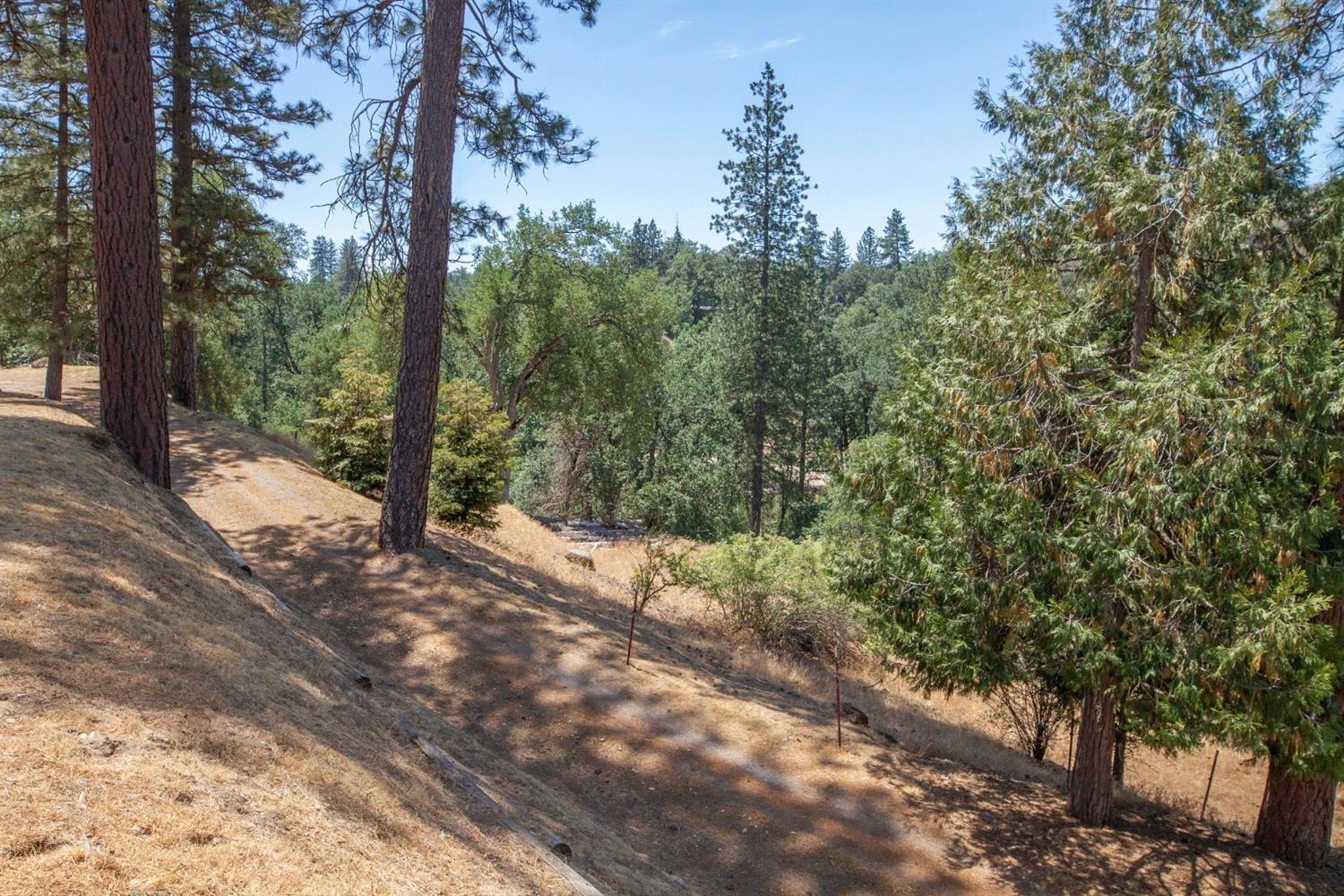 46760 Dunlap Road Miramonte, CA 93641 - Photo 40 of 58 Gallery Image 40