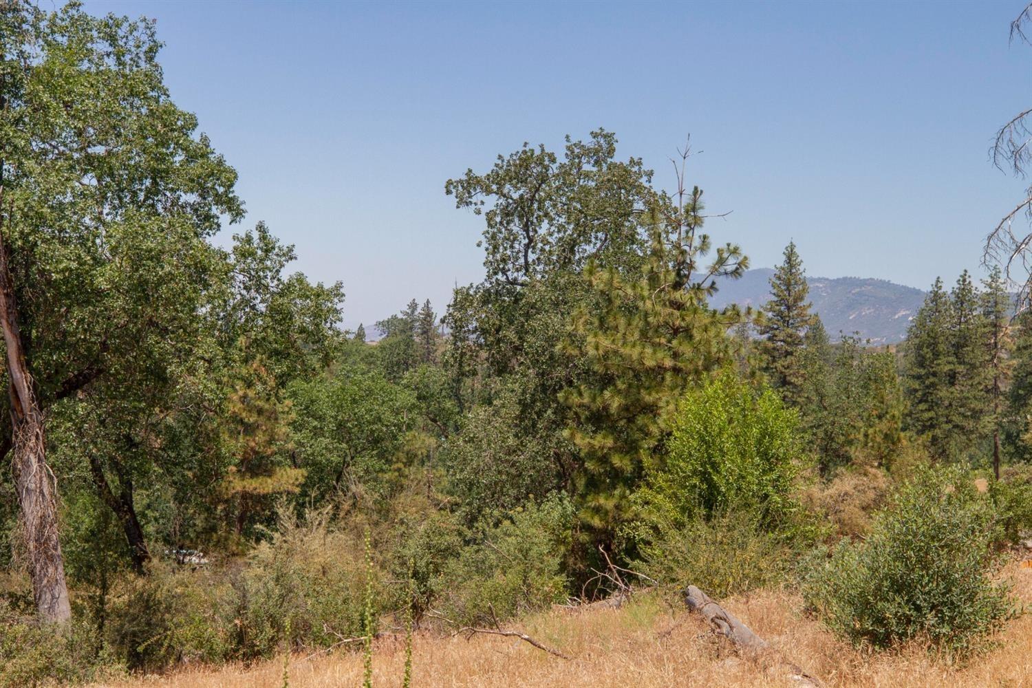 46760 Dunlap Road Miramonte, CA 93641 - Photo 44 of 58 Gallery Image 44