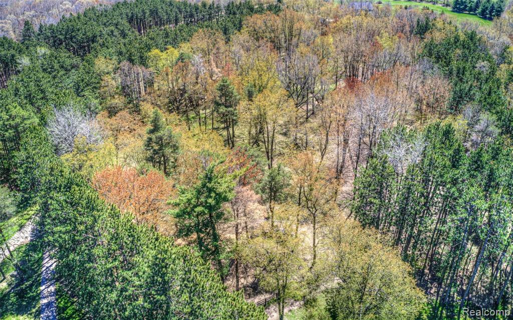 5820 Hempstead Road Metamora, MI 48455 - Photo 61 of 73