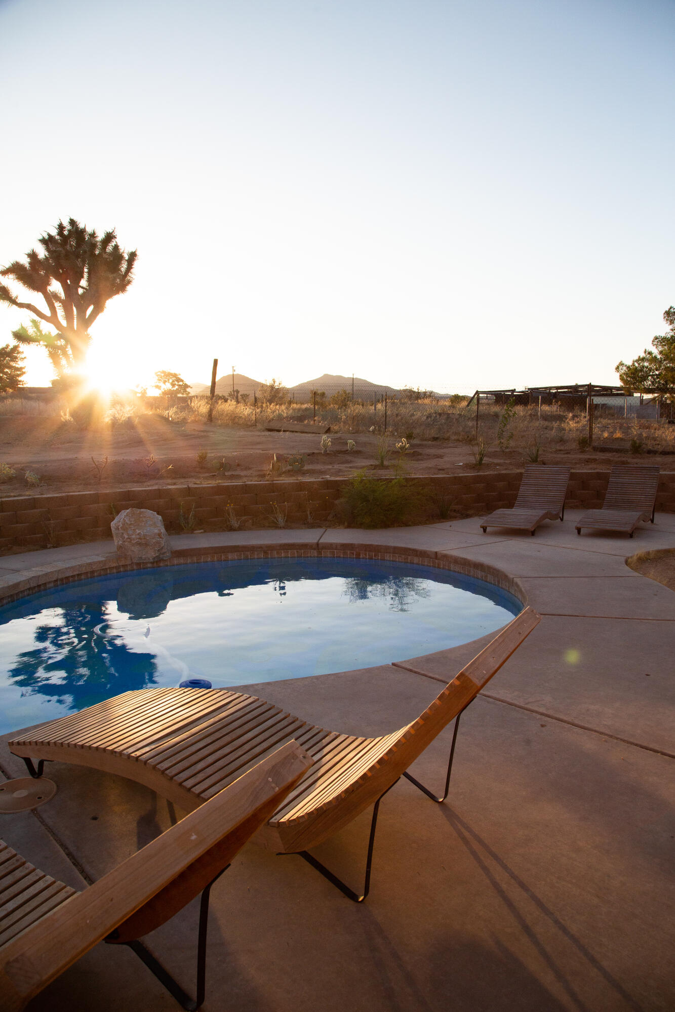 382 Cherokee Trail Yucca Valley, CA 92284 - Photo 1 of 66 _P2A6063 backyard