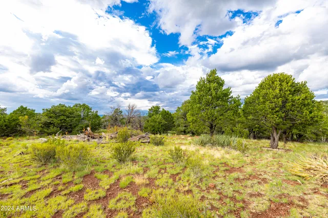 $998,000 | 2667 East Overlook Drive, Williams, AZ 86046