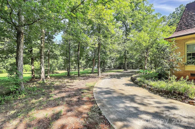 a view of a yard with plants and trees