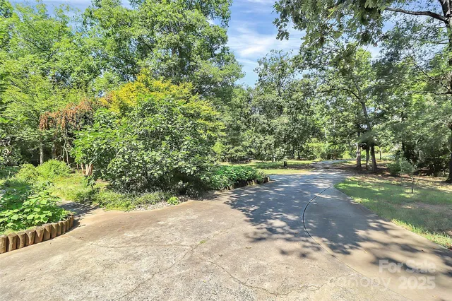 a view of a yard with plants and trees