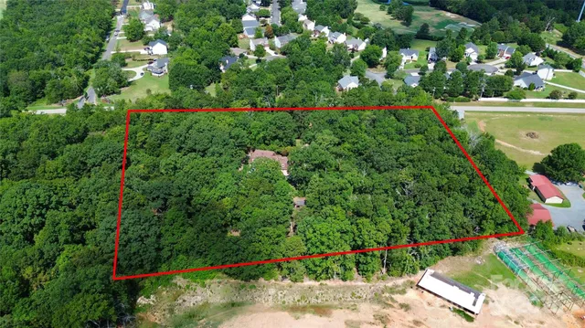 a view of a flower in a garden