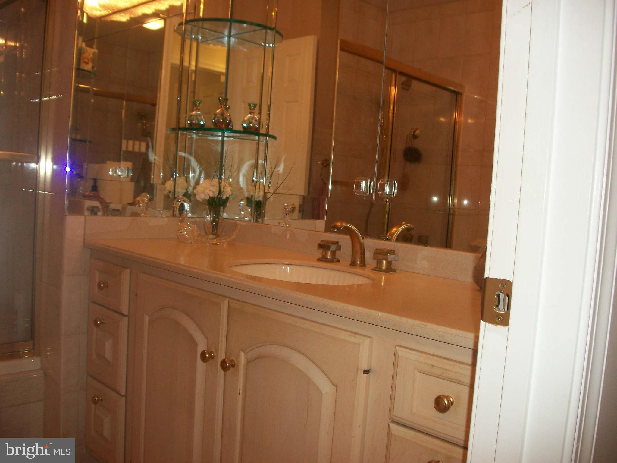 13304 Burkhart Street Silver Spring, MD 20904 - Photo 21 of 30 Bath (Master)