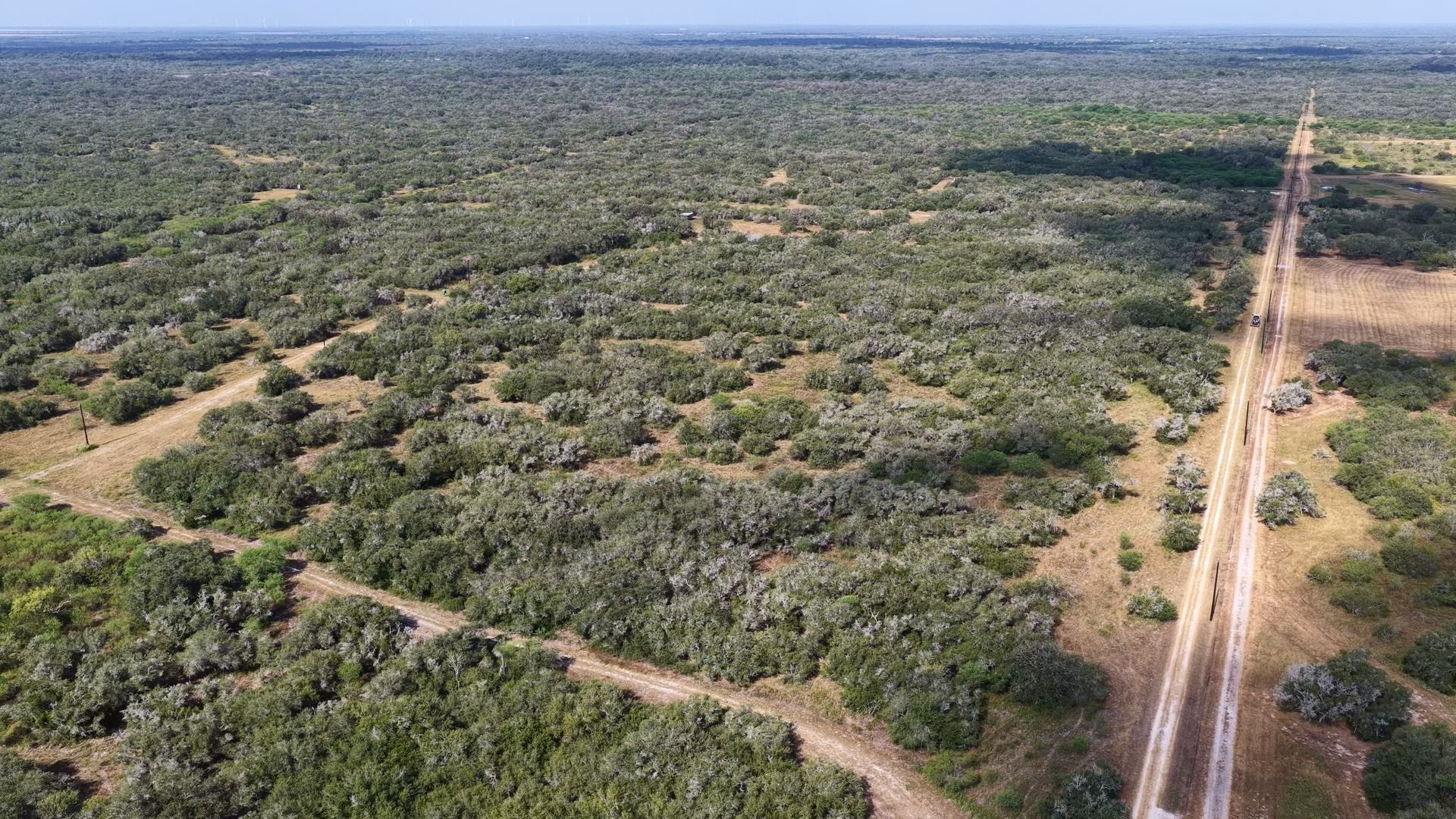 251 Old Goliad Road Refugio, TX 78377 - Photo 29 of 40 Vast stretches of mature trees and dirt roads define this expansive rural acreage.