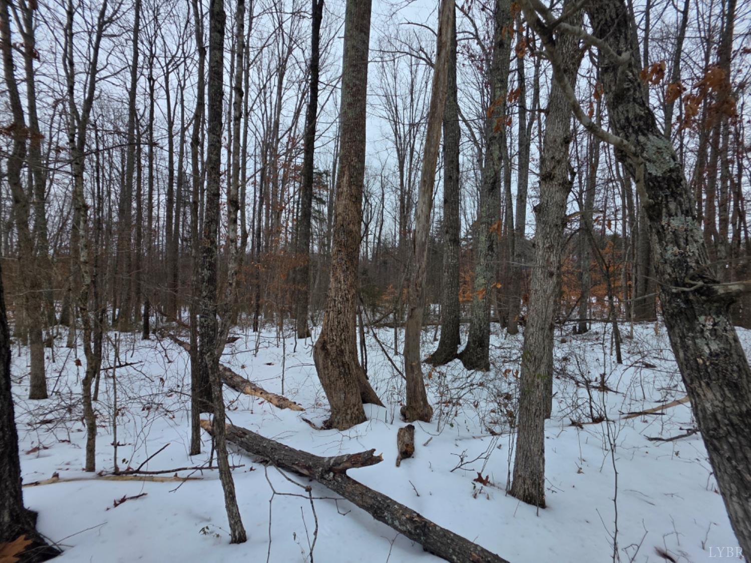 a view of outdoor space with seating space