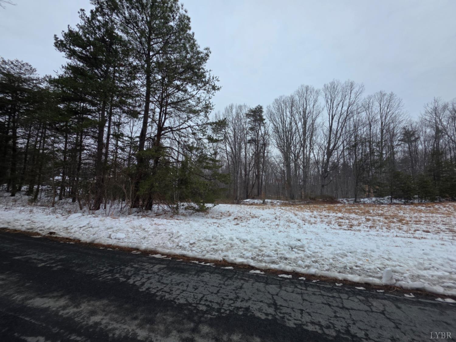 0 Piney Ridge Road Pamplin, VA 23958 - Photo 3 of 4 Gallery Image 3