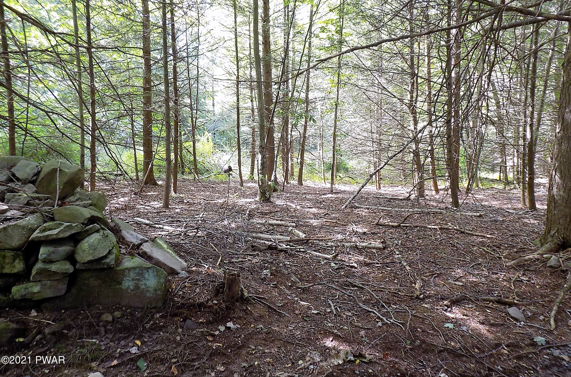 2.32-acres Roemerville Road Greentown, PA 18426 - Photo 8 of 9