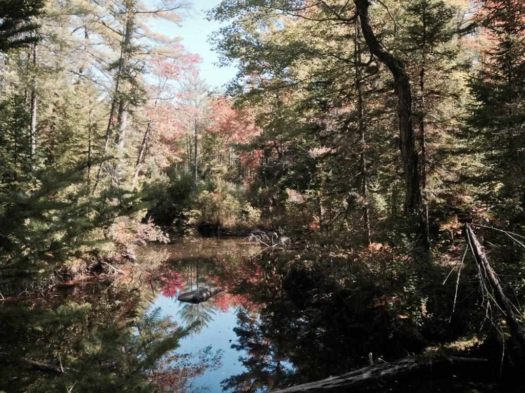 136 Sodom Road Tuftonboro, NH 03816 - Photo 1 of 7
