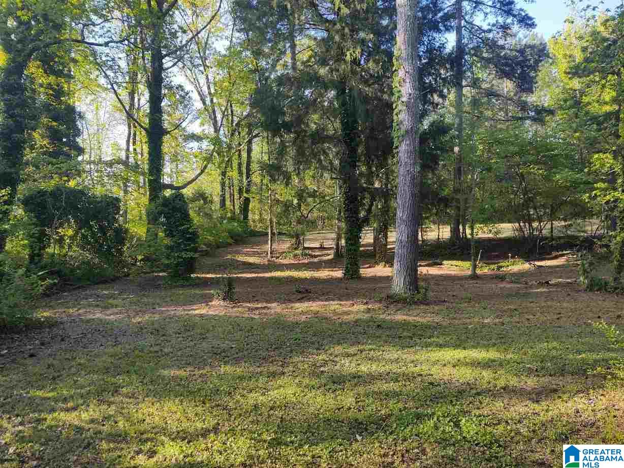 2865 Red Hill School Road Hayden, AL 35079 - Photo 30 of 30