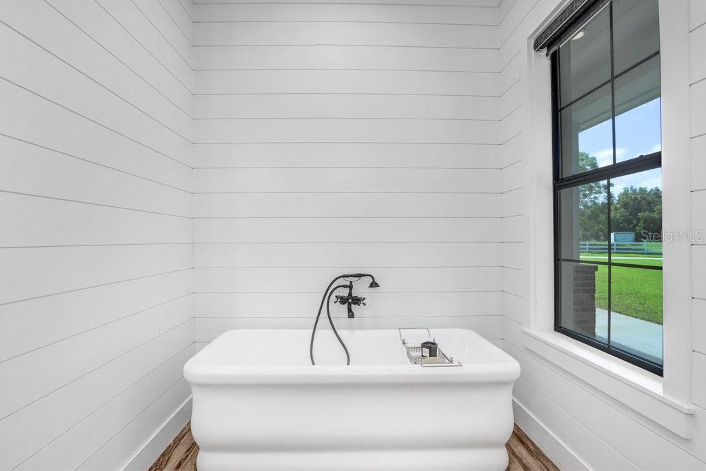 7705 Rosa Maria Lane Odessa, FL 33556 - Photo 36 of 91 Gallery Image 36