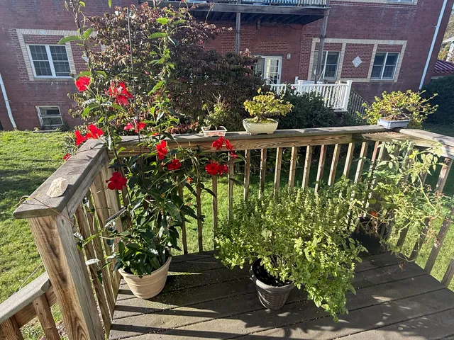 a front view of a house with a flower garden