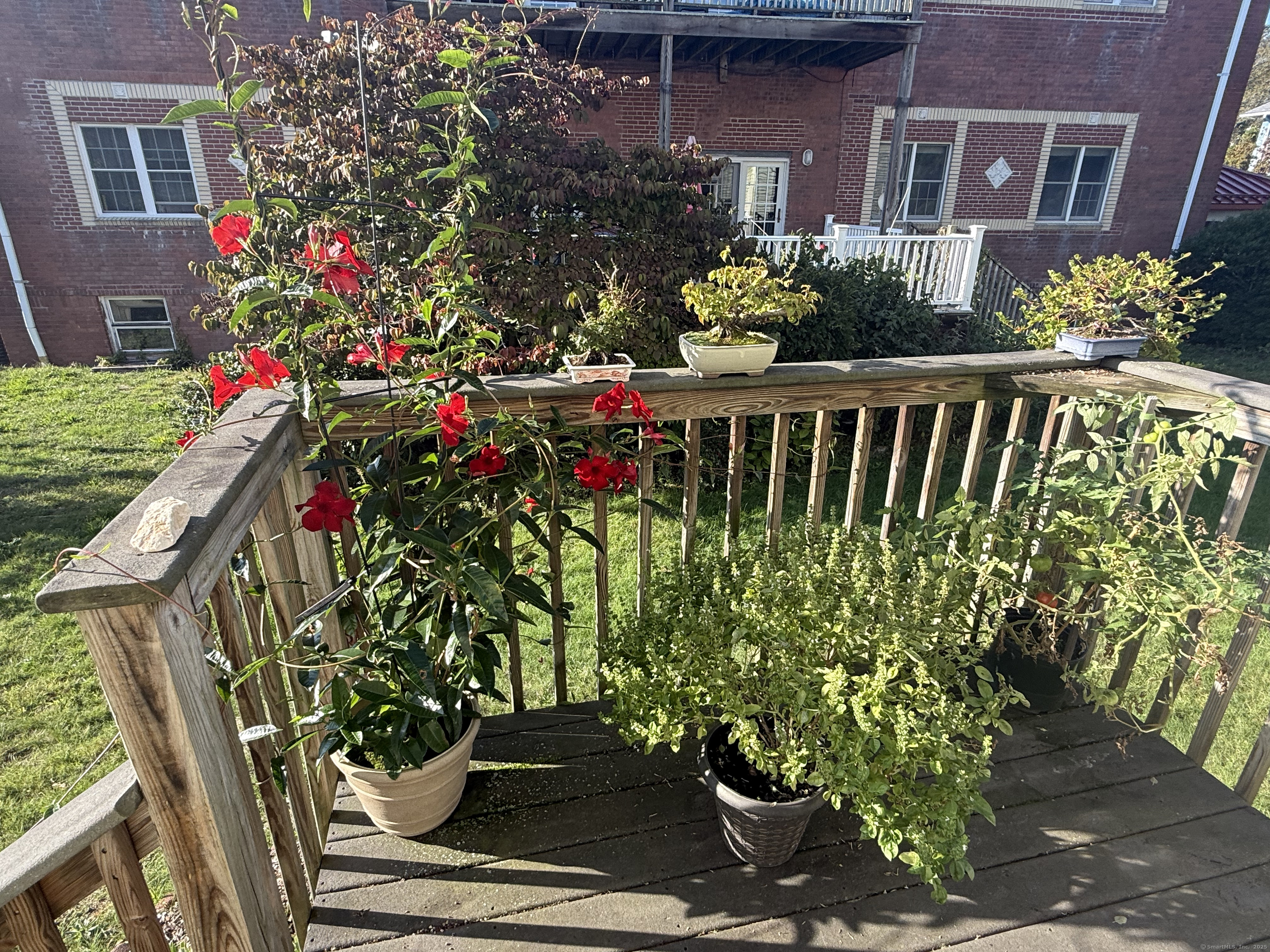 87 Gerrish Avenue, Unit T2 East Haven, CT 06512 - Photo 2 of 12 a front view of a house with a flower garden
