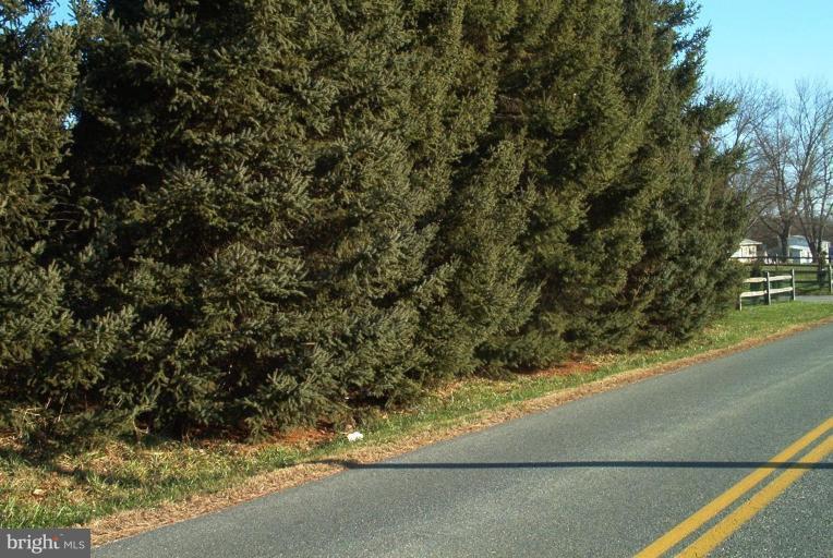 Brewster Bridge Road Elkton, MD 21921 - Photo 1 of 2 Exterior (Main)