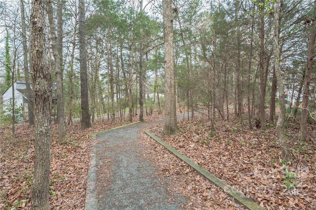 433 Hunters Dance Road Fort Mill, SC 29708 - Photo 25 of 25 a view of a forest with trees in the background