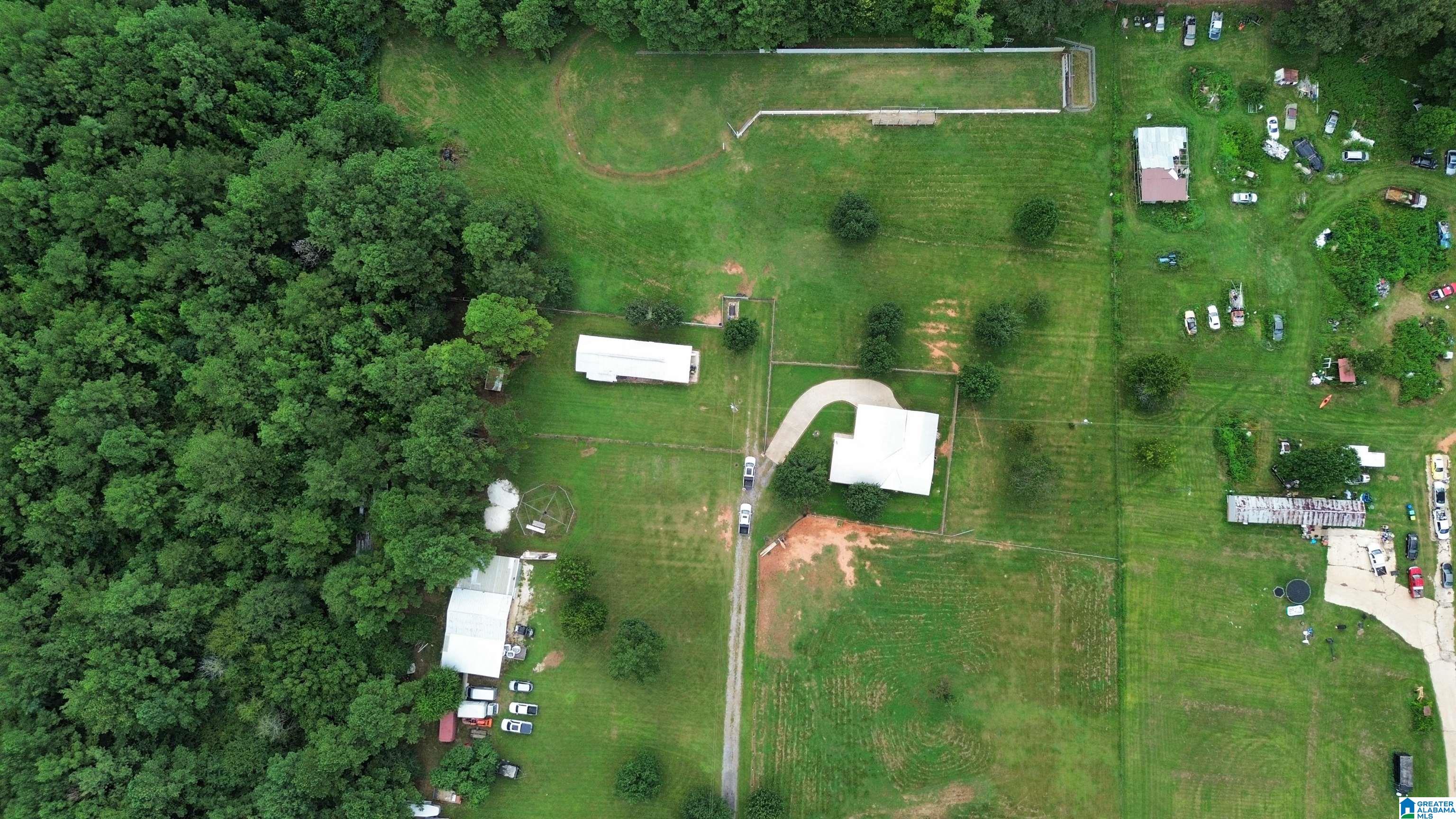 319 Kymulga Road Childersburg, AL 35044 - Photo 23 of 58