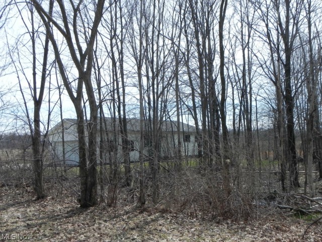 3003 Bishop Road Wickliffe, OH 44092 - Photo 18 of 18 Gallery Image 18