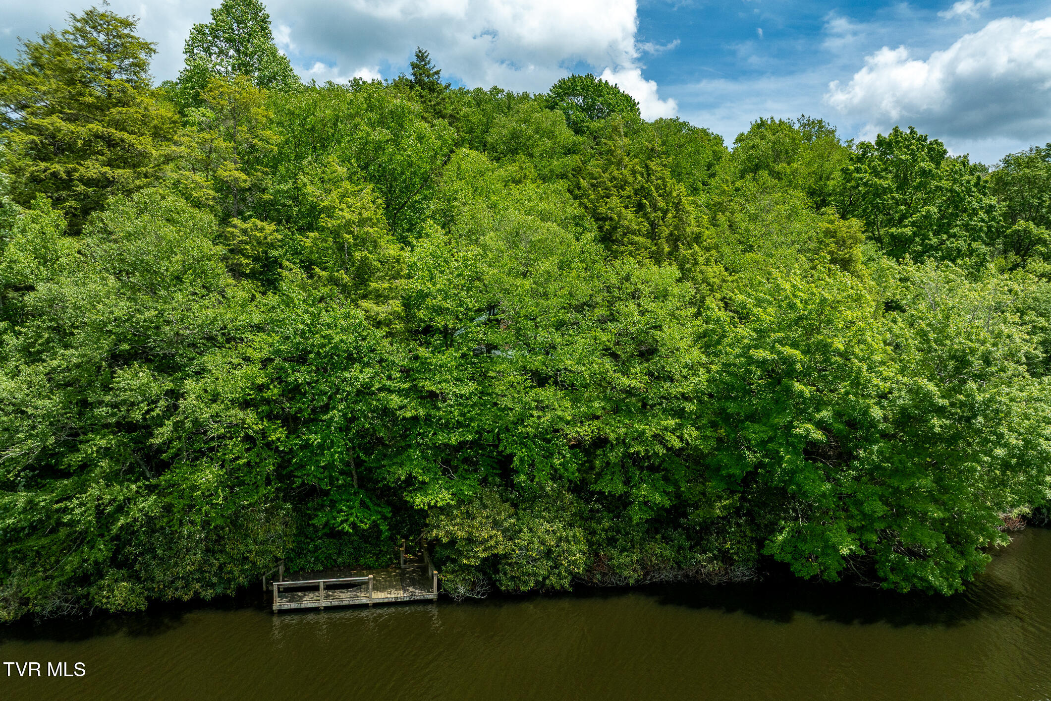 206 Ripshin Lake Road Roan Mountain, TN 37687 - Photo 64 of 76 206 Ripshin Lake Road (17 of 101)