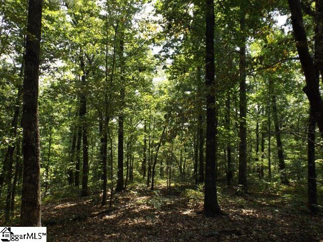 200 Serenity Drive Pickens, SC 29671 - Photo 11 of 22