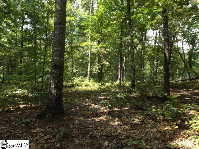 200 Serenity Drive Pickens, SC 29671 - Photo 13 of 22