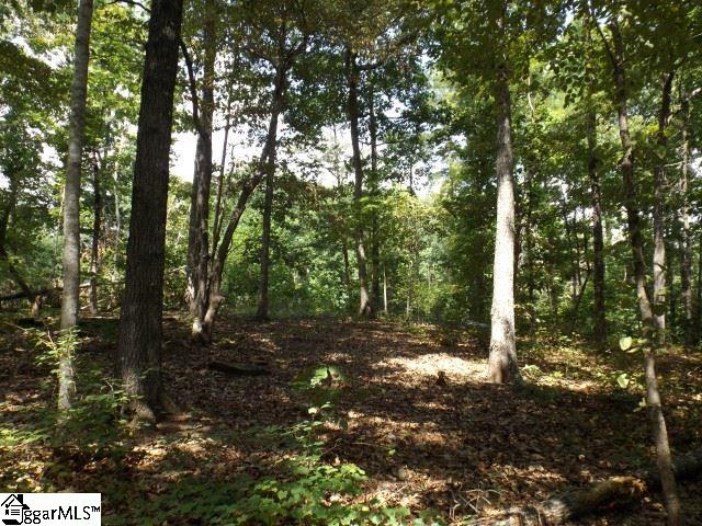 200 Serenity Drive Pickens, SC 29671 - Photo 14 of 22