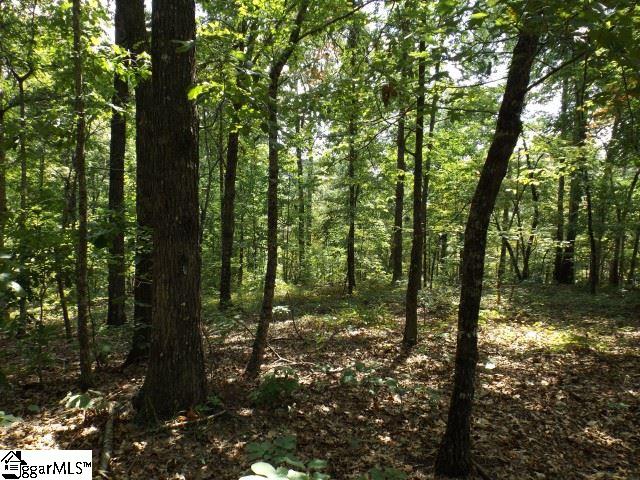 200 Serenity Drive Pickens, SC 29671 - Photo 15 of 22