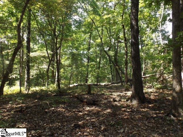 200 Serenity Drive Pickens, SC 29671 - Photo 3 of 22