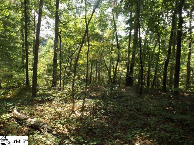 200 Serenity Drive Pickens, SC 29671 - Photo 4 of 22