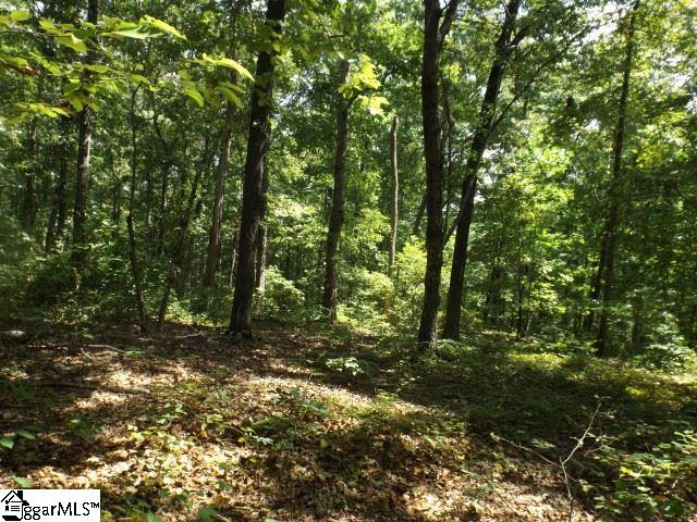 200 Serenity Drive Pickens, SC 29671 - Photo 5 of 22