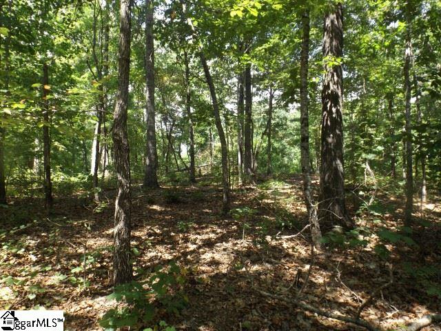 200 Serenity Drive Pickens, SC 29671 - Photo 6 of 22