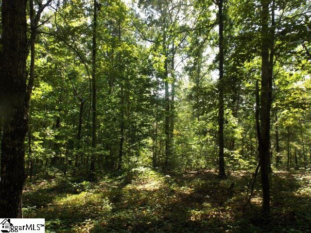 200 Serenity Drive Pickens, SC 29671 - Photo 8 of 22