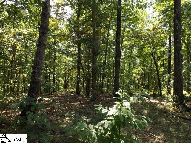 200 Serenity Drive Pickens, SC 29671 - Photo 9 of 22