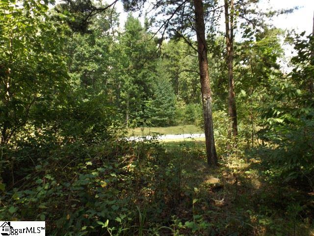 200 Serenity Drive Pickens, SC 29671 - Photo 10 of 22