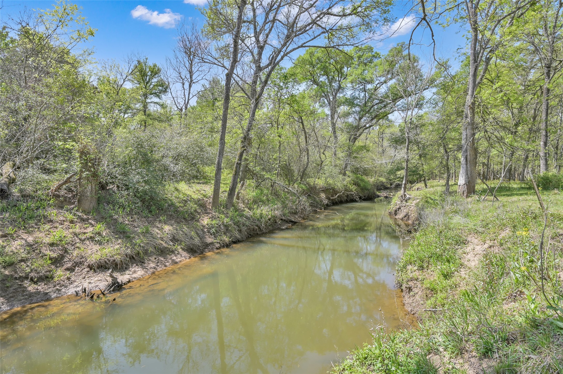 1111 South Hickory Loop Calvert, TX 77837 - Photo 12 of 26 Gallery Image 12