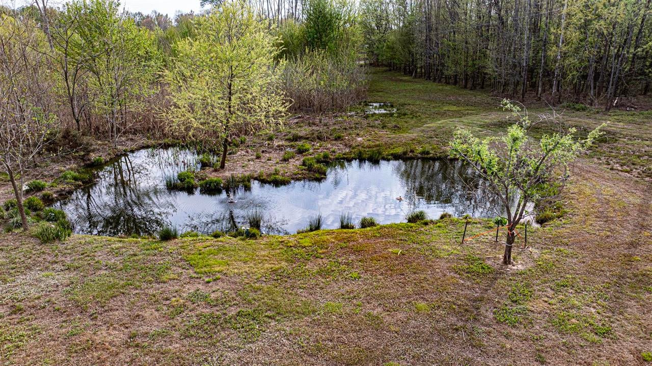201 M M Johnson Road Smiths Grove, KY 42171 - Photo 45 of 50 Gallery Image 45