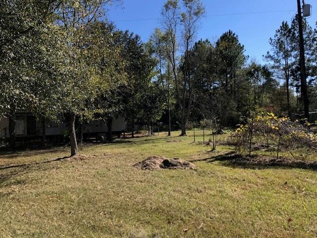 54169 Addison Road Independence, LA 70443 - Photo 1 of 7