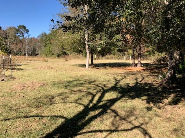 54169 Addison Road Independence, LA 70443 - Photo 3 of 7