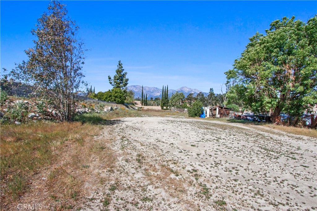 8410 Arrow Route Rancho Cucamonga, CA 91730 - Photo 22 of 24 a view of a yard with a trees