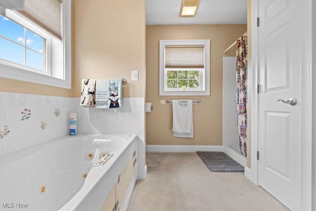 6175 Burnett Road Cutler, OH 45724 - Photo 14 of 39 Master Bath