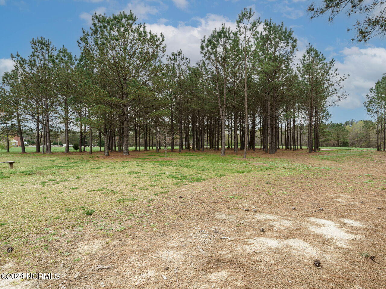 600 Wilder Road Middlesex, NC 27557 - Photo 28 of 33 027-1280x960-property-view