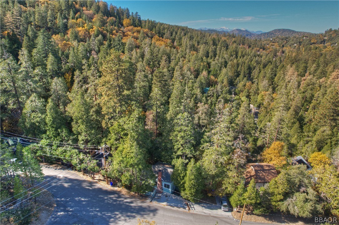 24020 Bowl Road Crestline, CA 92325 - Photo 5 of 35 a view of a forest with a street