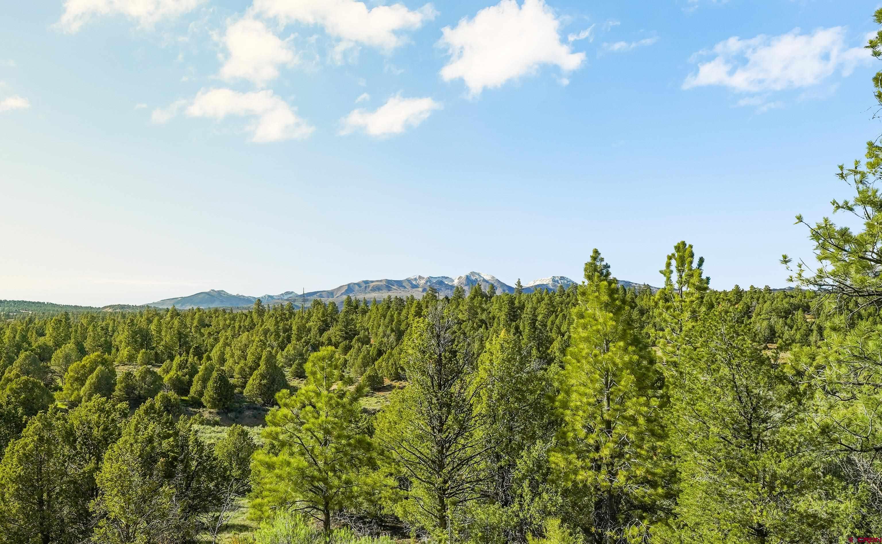 287 Wildcat Road Hesperus, CO 81326 - Photo 44 of 44 a view of a city