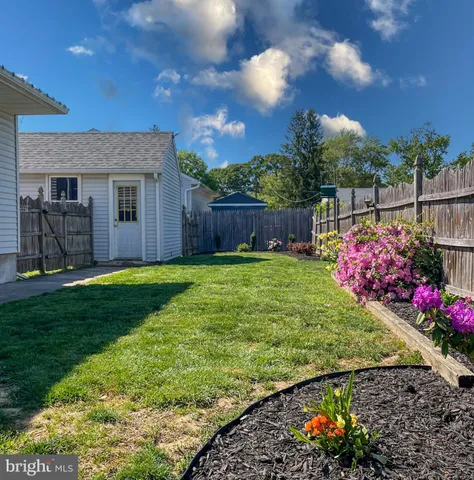 a view of a backyard with potted plants and a large tree