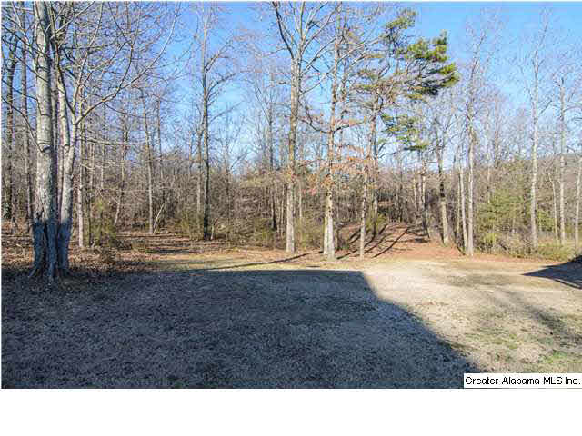 7509 Aspen Ridge Drive Pinson, AL 35126 - Photo 32 of 32