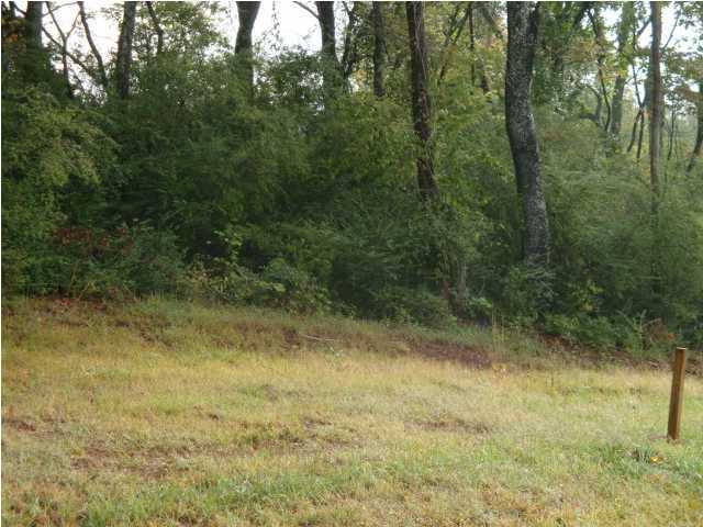 6160 Fairview Road, Unit 2 Hixson, TN 37343 - Photo 4 of 12 Additional Photo
