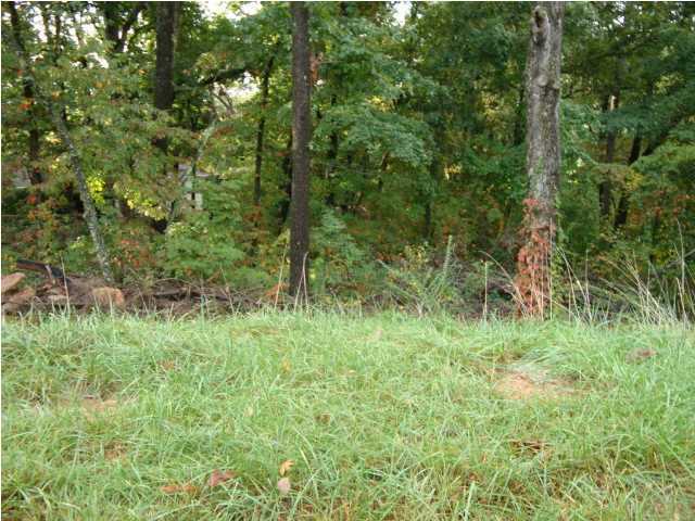 6160 Fairview Road, Unit 2 Hixson, TN 37343 - Photo 8 of 12 Additional Photo
